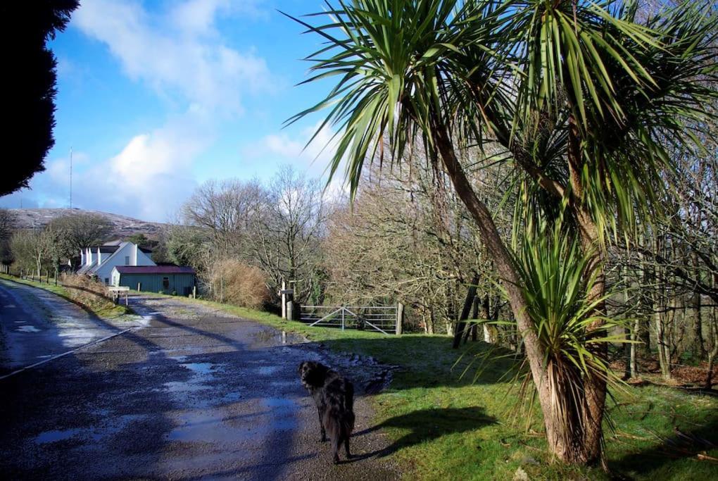 Villa Cargibbitt Annexe Liskeard Exterior foto